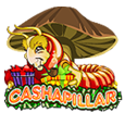 Cashapillar